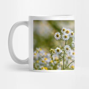 Wild Chamomile Mug